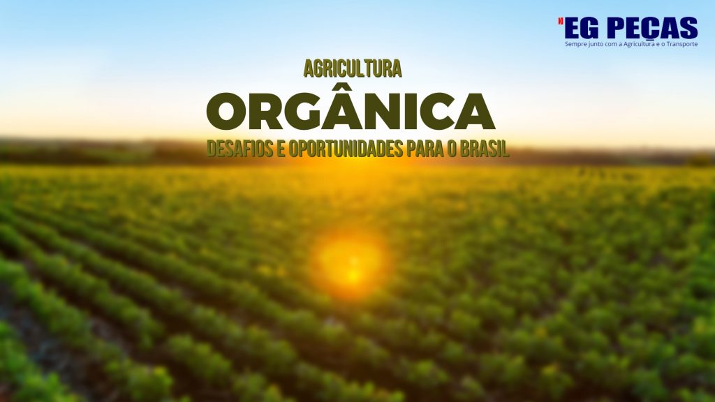 agricultura-organica-no-brasil